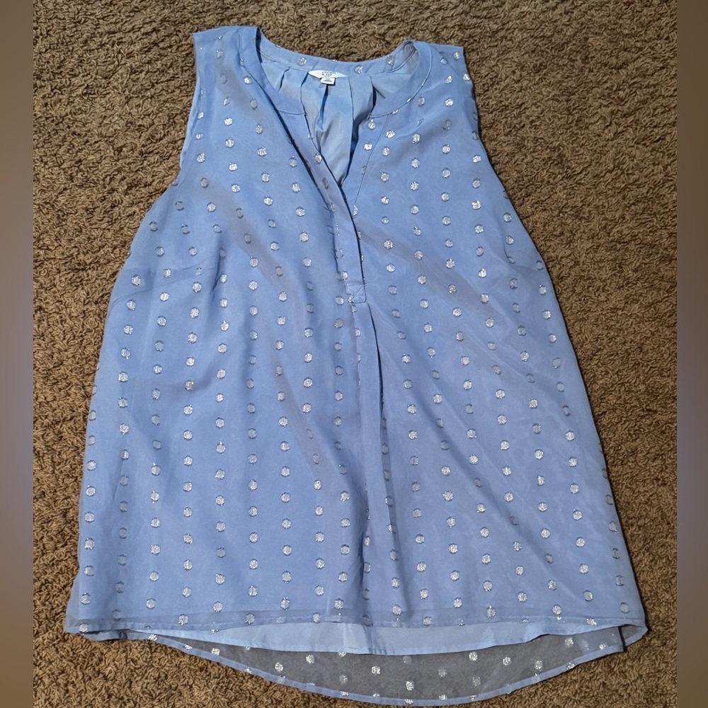 Crown & Ivy Light Blue Blouse